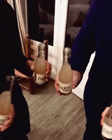 lafrenchsvp giphygifmaker cheers tonicwater gingerbeer GIF