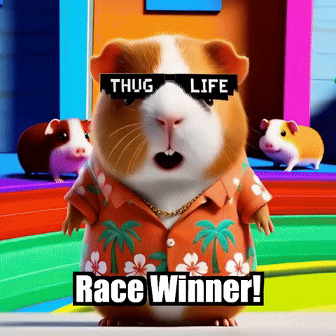 Proud Guinea Pig GIF by Guinea Gambino