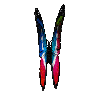 Butterfly Roma Sticker by RomeFutureWeek