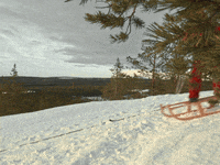 playing santa claus office GIF by The Elves!