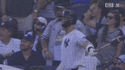 New York Yankees Sport GIF by MLB