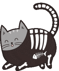 day of the dead dance Sticker by Meowingtons
