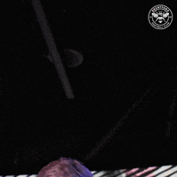 Mee GIF by Brentford FC