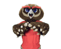 Boca Raton Touchdown Sticker by Florida Atlantic University