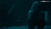 50 States Of Fright GIF by The Roku Channel