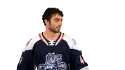 Wolf Pack Hwp Sticker by Hartford Wolf Pack