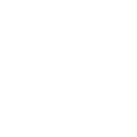 White Line Cat Sticker