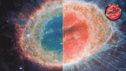 Looking James Webb GIF by ESA Webb Space Telescope