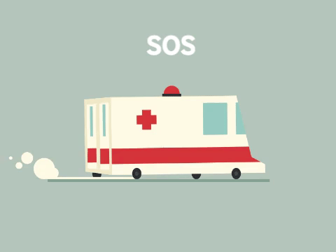 sos zizoune GIF