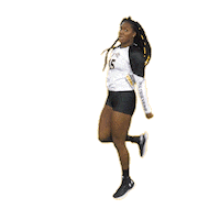 umbc volleyball Sticker