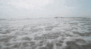 Cover Microwave GIF by Pure Noise Records