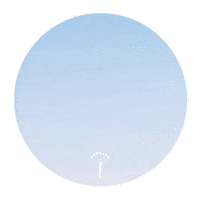 Beauty Loop Sticker by Aneethun