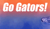 Water Swim GIF by University of Florida