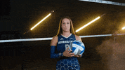 Georgia Tech Volleyball GIF by Georgia Tech Yellow Jackets