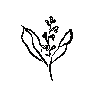 Sticker by Atelier Caramella