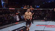 Khabib Nurmagomedov Sport GIF by ESPN