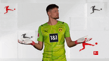 Borussia Dortmund What GIF by Bundesliga