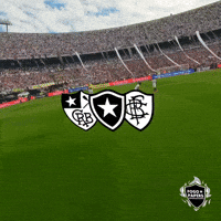 Buenos Aires Libertadores GIF