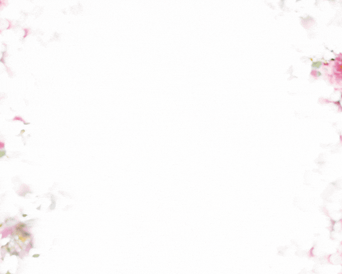 LantanaVenues giphyupload outdoor wedding reception wedding reception venues sydney western sydney wedding venues GIF