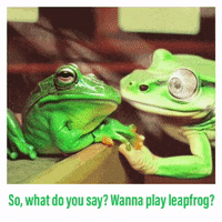 transgreaser  GIF