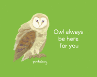 PandaKongArt valentine digital art valentines owl GIF