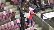 SCStingraysHockey hockey pie in the face stingrays GIF