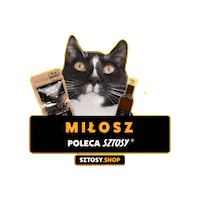 Cat Kot Sticker by Sztosy.co