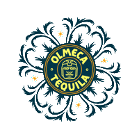 Shot Tequila Sticker by Pernod Ricard México