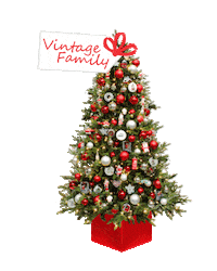 2niceeventstyling kerst kerstmis kerstboom 2nice Sticker