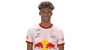 Fail Oh No Sticker by FC Red Bull Salzburg