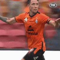 Celebrate Australian Football GIF by Hyundai A-League