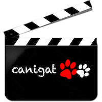Cat Dog Sticker by CANIGAT