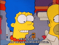 Season 2 GIF by The Simpsons