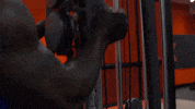 Workout Gym GIF by Visual Smugglers