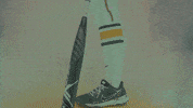 North Dakota State Softball GIF by NDSU Athletics