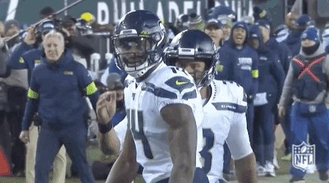 National Football League Touchdown GIF by NFL