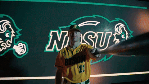 GIF by NDSU Athletics