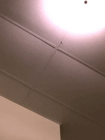 framebeta GIF