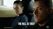 Chicago Pd Nbc GIF by One Chicago