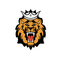 Dodgeball Sticker by Newcastle Kings