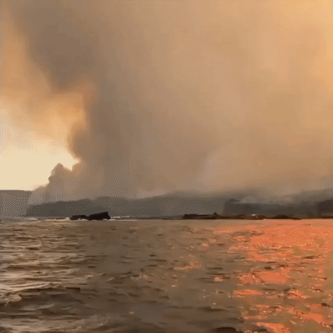 Currowan Bushfire Reaches the Coast Near Depot Beach