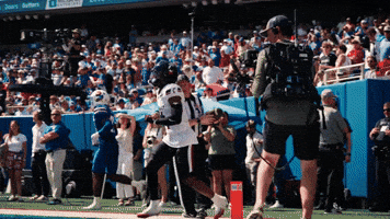 Cincinnati Football GIF by Cincinnati Bearcats