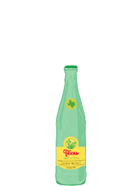 Topo Chico Texas Sticker