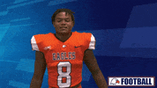 Cnfb GIF by Carson-Newman Athletics