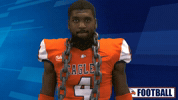 Axe GIF by Carson-Newman Athletics
