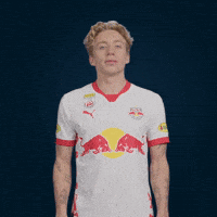 Sport Soccer GIF by FC Red Bull Salzburg