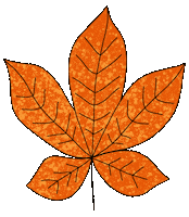 Fall Autumn Sticker