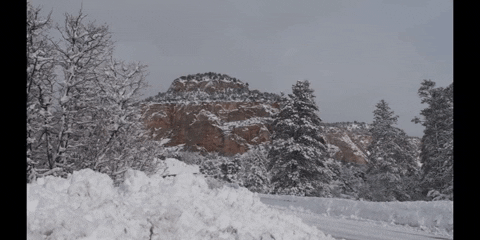 Education Motion GIF by DIIMSA Stock