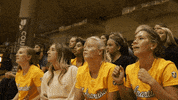 Winner Win GIF by Valparaiso University