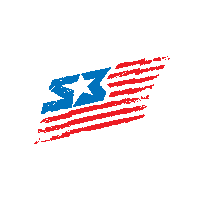 Flag Sticker by S3 Power Sports